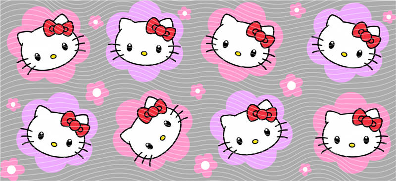 16oz Sanrio-K 263